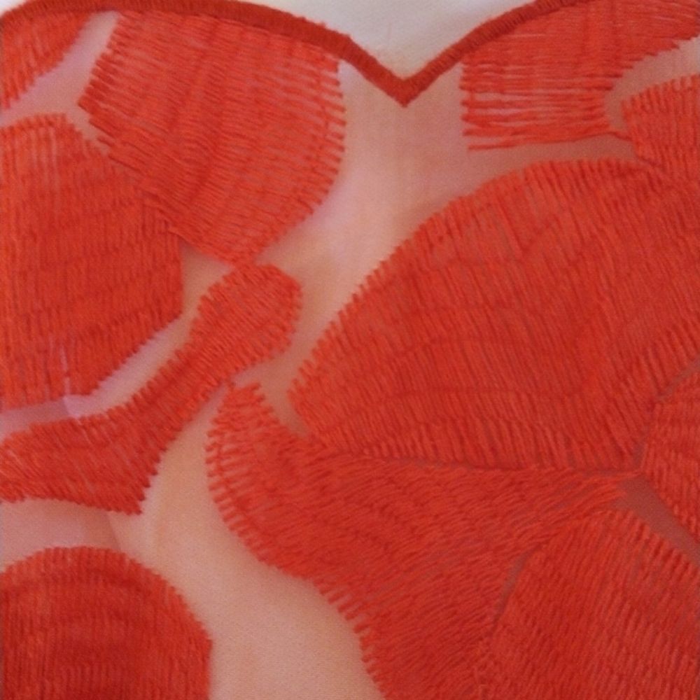 C. Luce Embroidered Dress Cottagecore - Picture 10 of 11